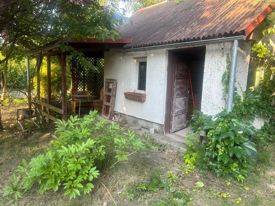 Prawo do dzierżawy ROD Raków