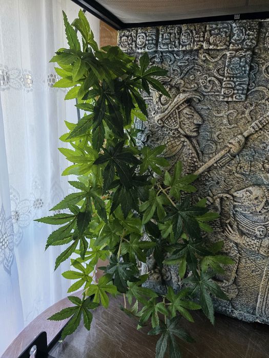 Planta Exo Terra