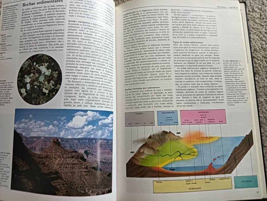 A Terra		Ardley, Neil ;	Matthews, Robert ; Resomnia editores