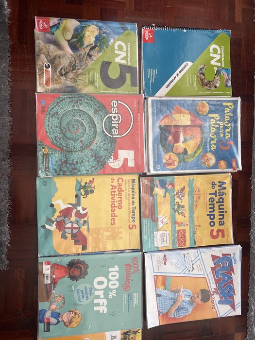 Vendo livros do 5º ano em otimo estado