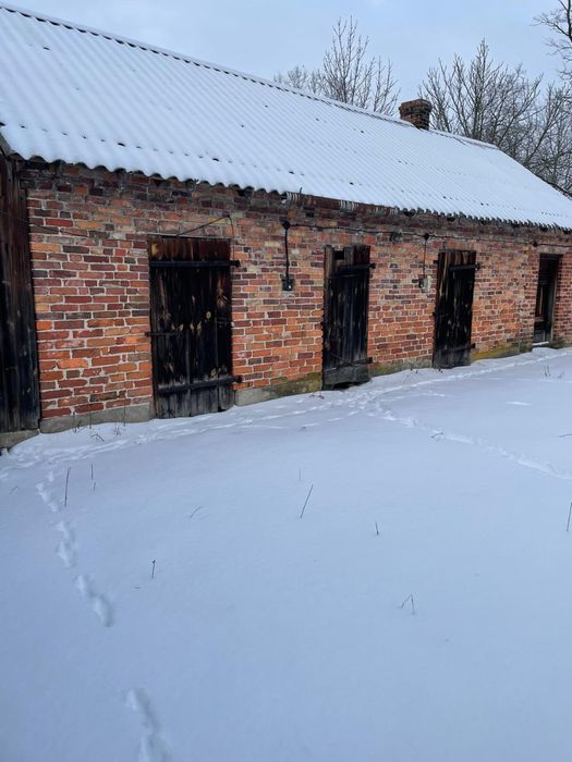 Sprzedam siedlisko 8000m2 dom stodola budynki gospodarcze Wujówka