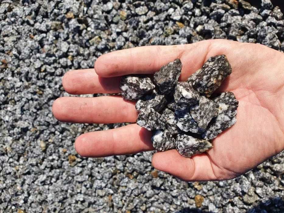 Grys granitowy dalmatyńczyk ozdobny kamień ogrodowy