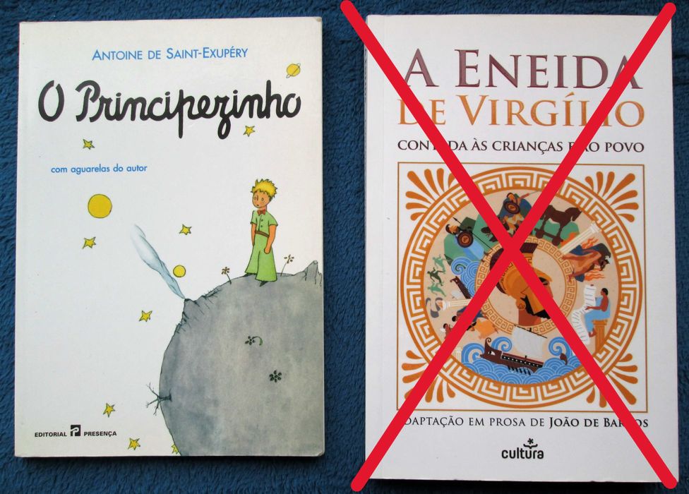 Metas curriculares - Plano Nacional de Leitura