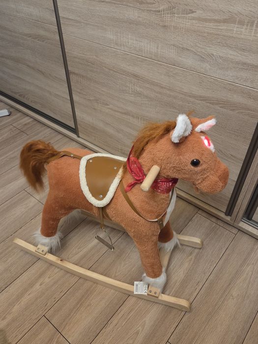 Konik, konik na biegunach, koń na biegunach, koń