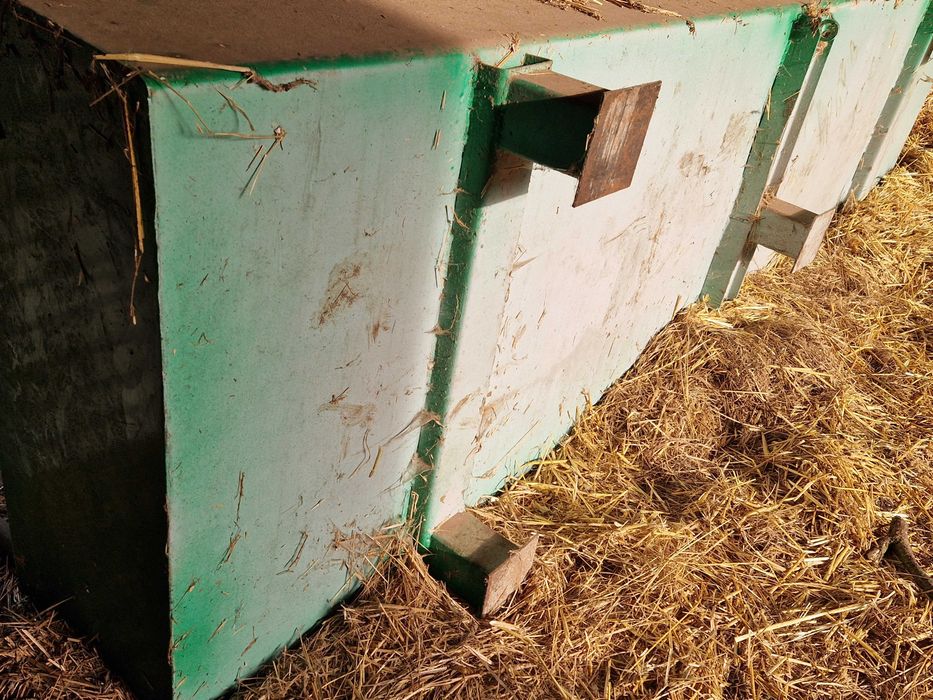 Koryto, Paśnik dla Bydła