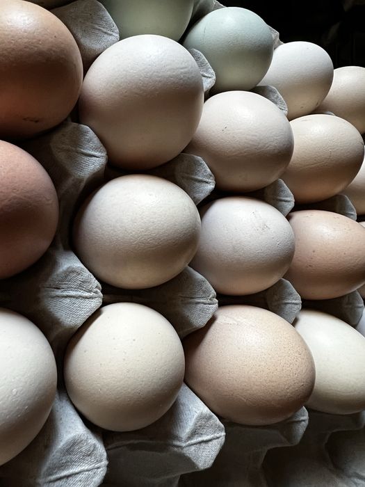 Jaja wiejskie naturalne