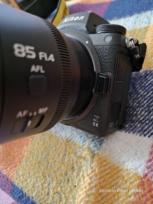 Nikon Z 6 ll troca se por d850 ou 5dmk4