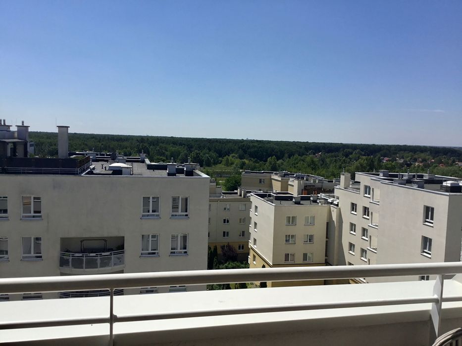 Bezpośrednio, dwupokojowe mieszkanie Alternatywy