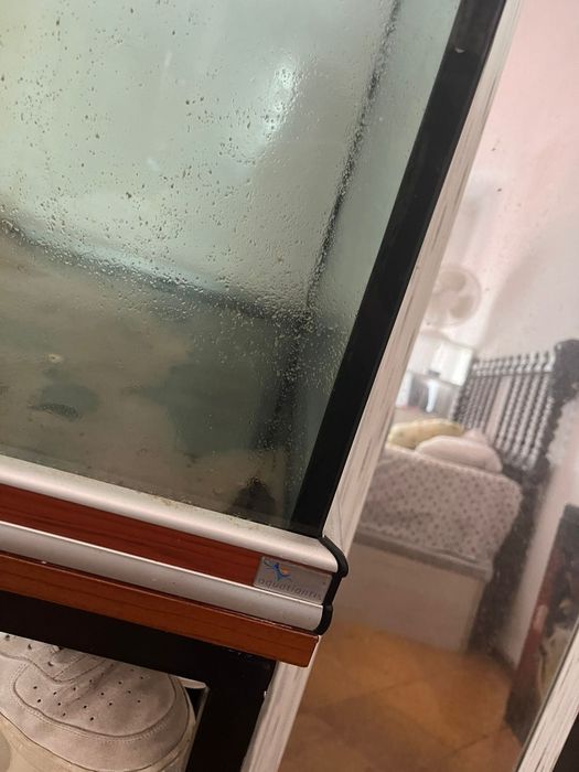 Aquário 500 litros + móvel em metal