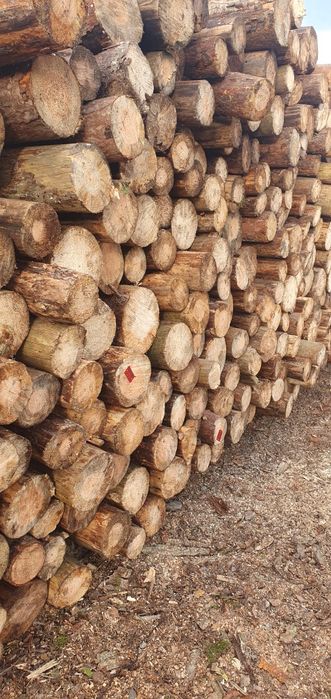 Sprzedam drewno opałowe SUCHE