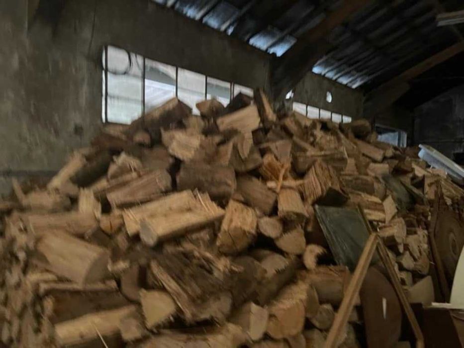 Vários tipos de lenha seca