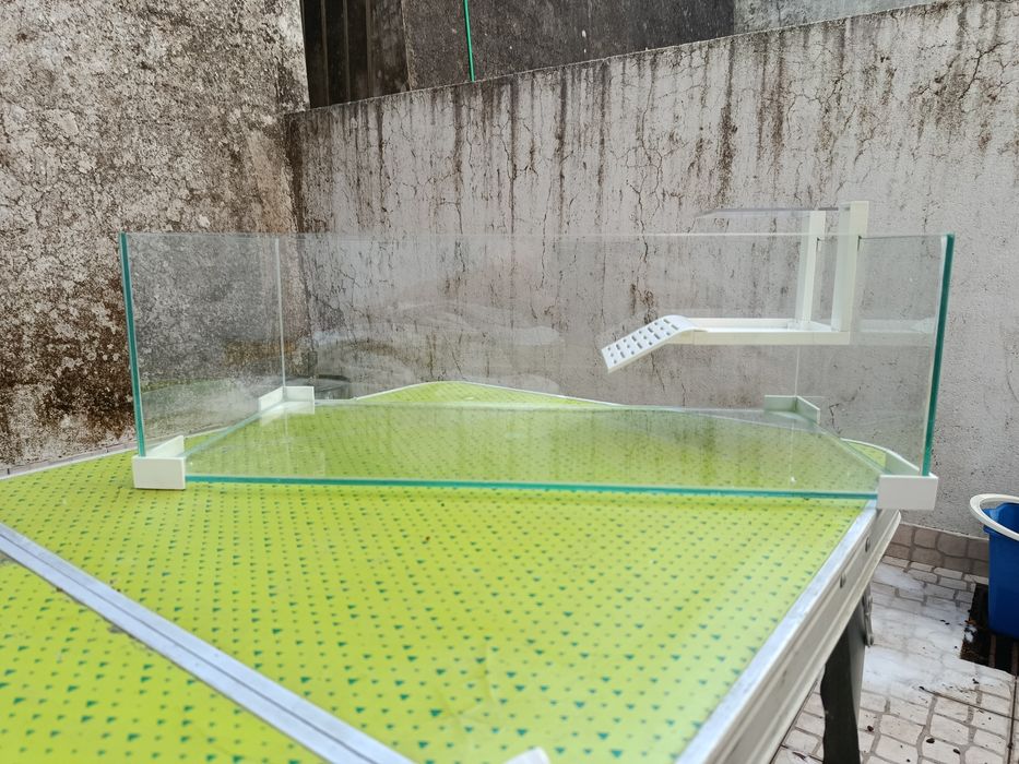 Aquaterrário para Tartarugas em Vidro | Excelente Estado