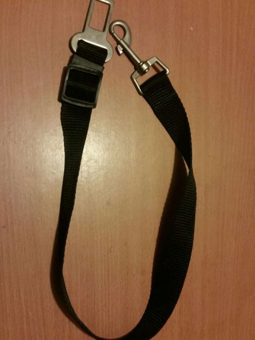 cinto de segurança para cão ou gato cães e gatos animais estimaçao