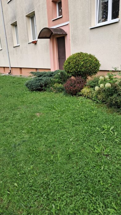 Mieszkanie – Olsztyn, Stare Miasto - Widok 4