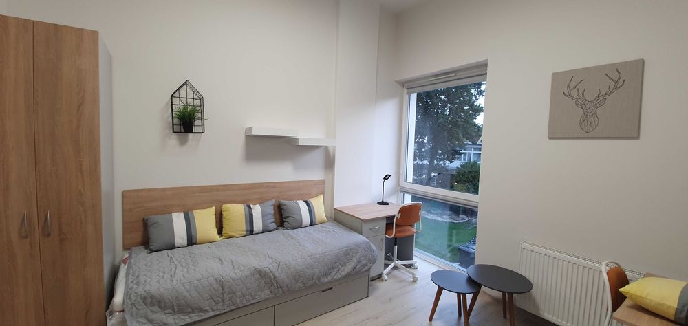 Kawalerka blisko UM (300m, ul. Prusa, nowoczesny apartamentowiec)