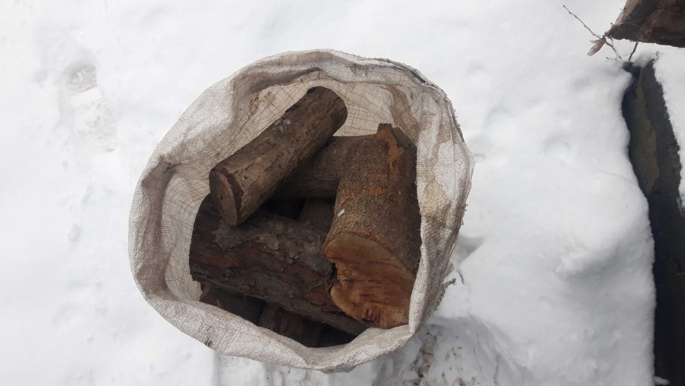 Сухі дрова з саду