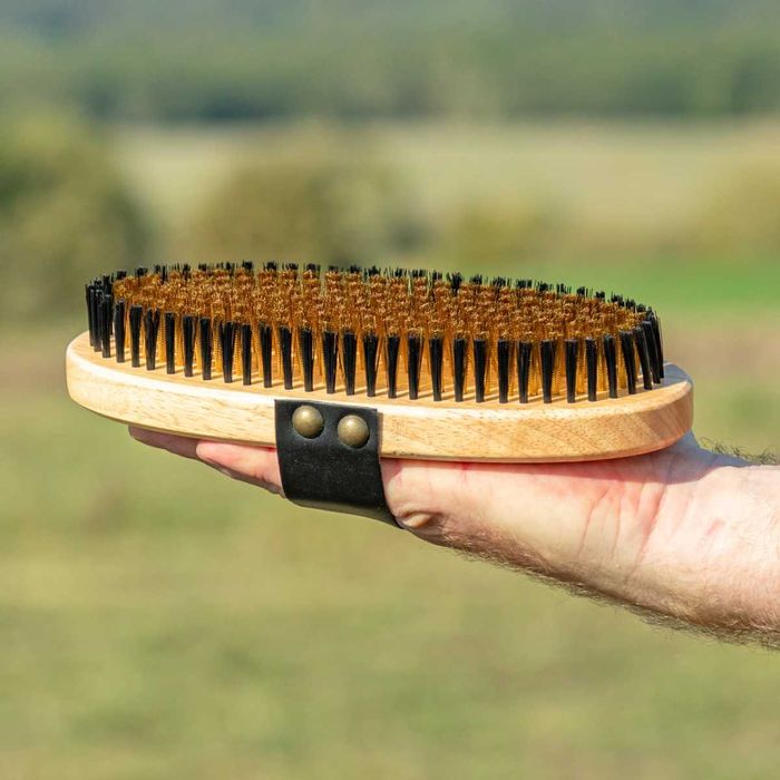 Szczotka z mosiężnego i nylonowego włosia do skóry i sierści Konia