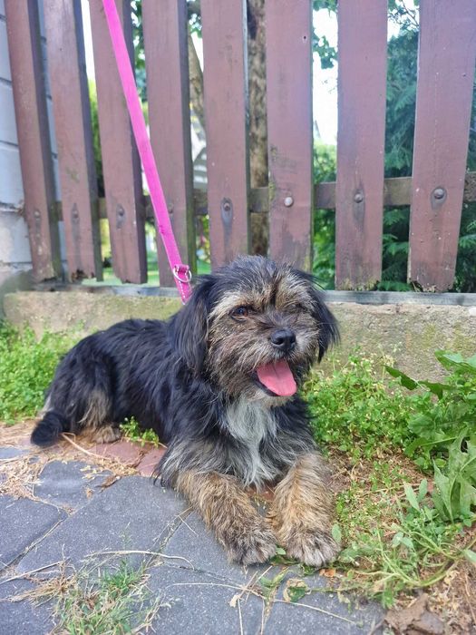 Siedlce, czyja zguba?