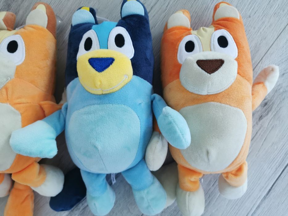 Rodzina Bluey i Bingo