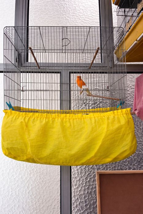 4 gaiolas para aves