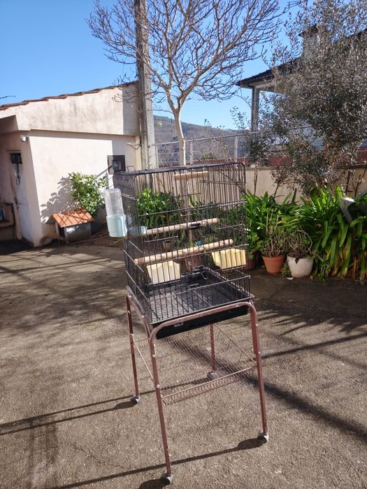 Gaiola para pássaro