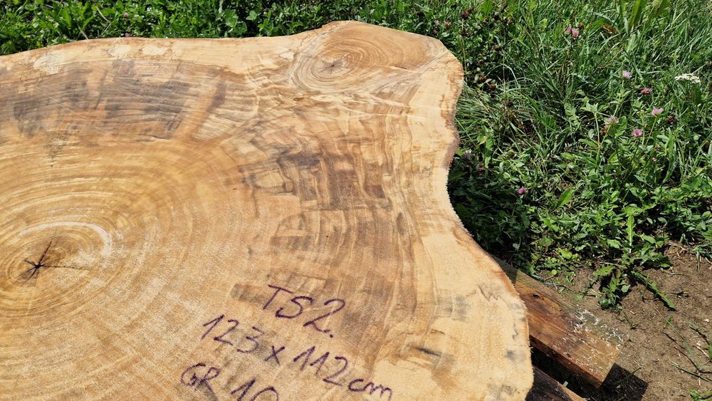 Topola plastry krążki live edge żywica PIĘKNE USŁOJENIE