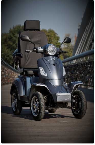 Skuter Electroride Faster Max Lion [REZERWACJA]