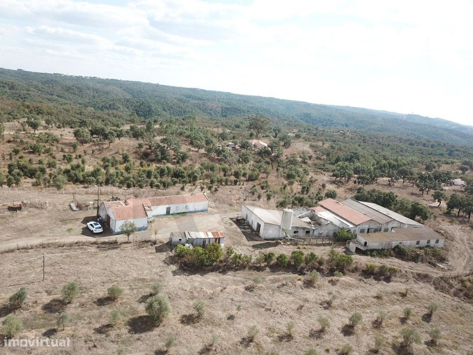 Monte Alentejano - Santiago do Cacém - 13 hectares