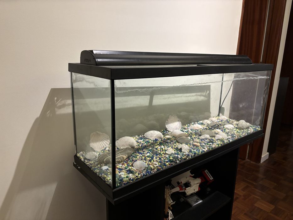 Aquário grande e completo em otimo estado