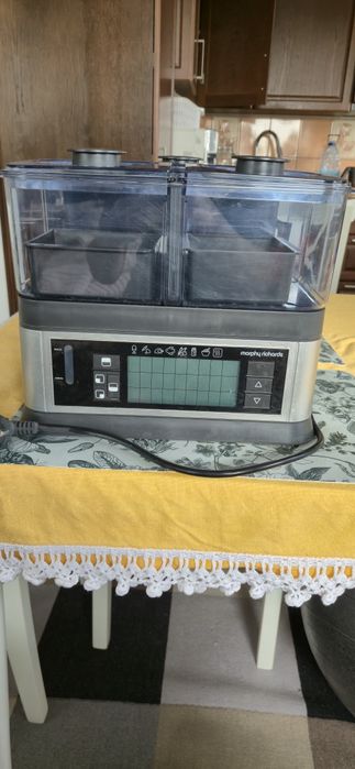 Morphy Richards Intelli Steam parowar