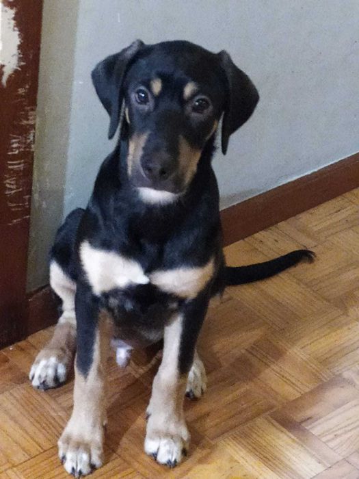 Mãe e filho porte médio