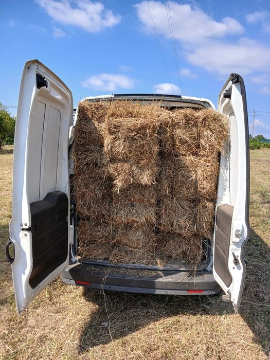 Palha deste ano  2025 em fardos