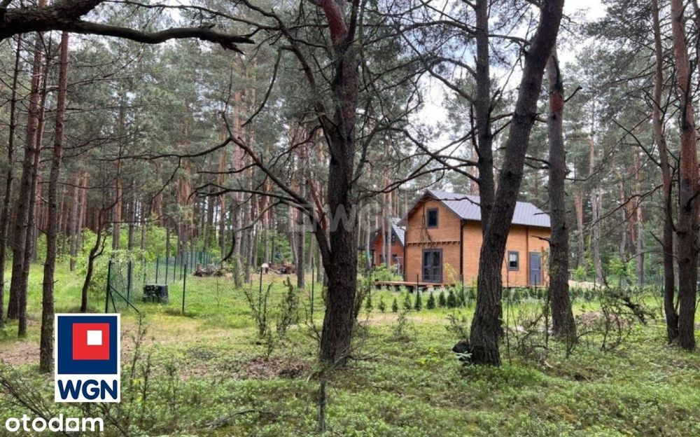 Działka, Zaborze