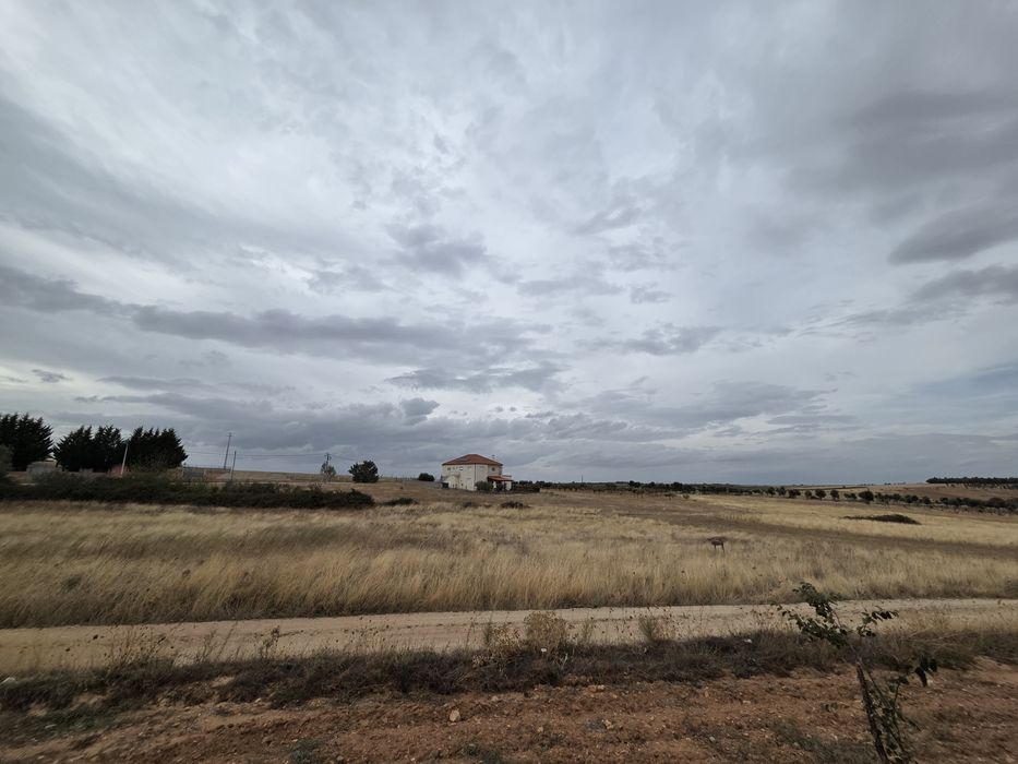 Terreno em sendim