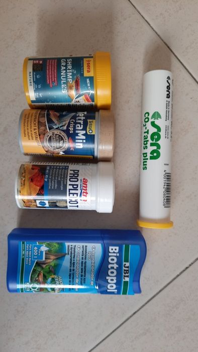 Aquário Completo e Pronto