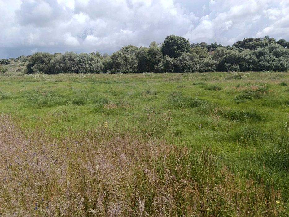 Terreno Ideal para Refúgio de Campo, 7 hectares , Nisa