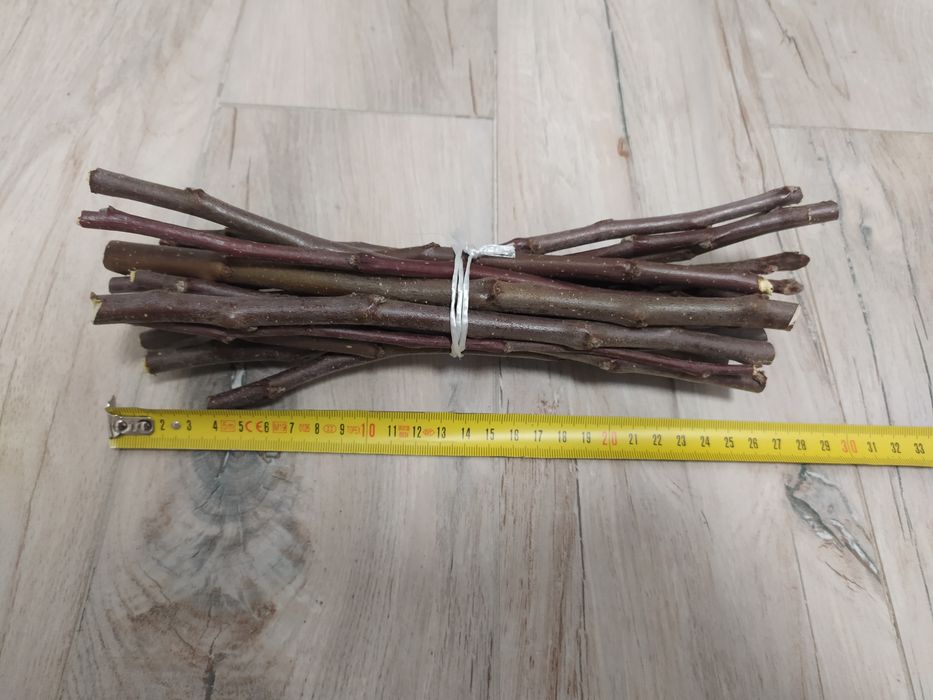 Patyki dla królika, świnki morskiej, szynszyli