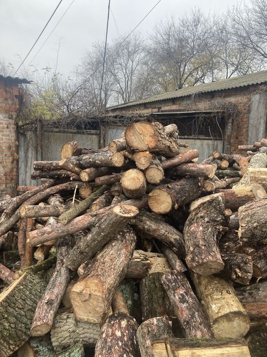 Продам дрова сосна