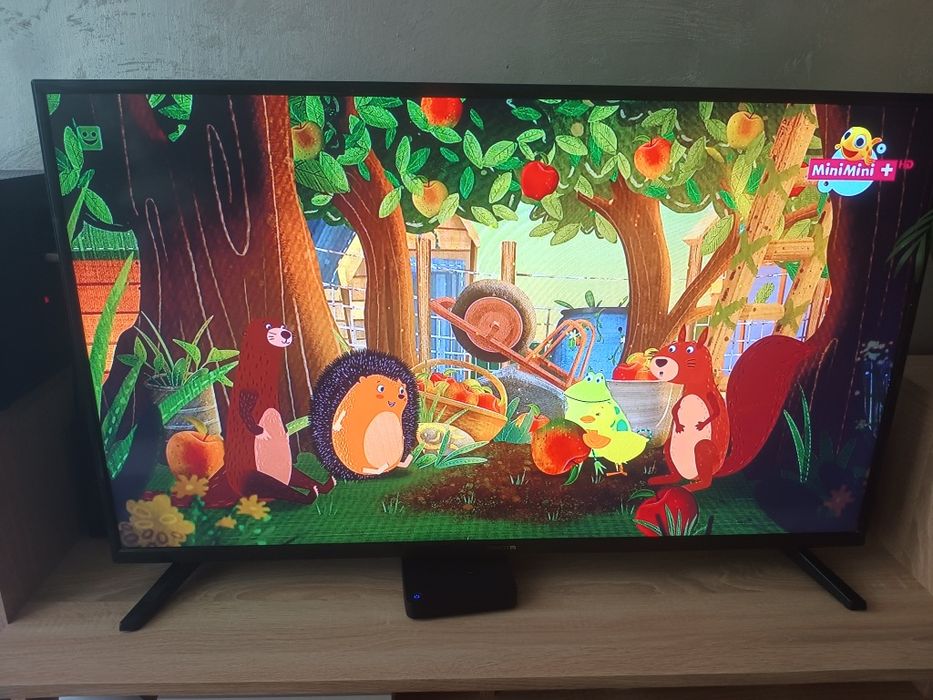 Telewizor 43 cale + głośniki