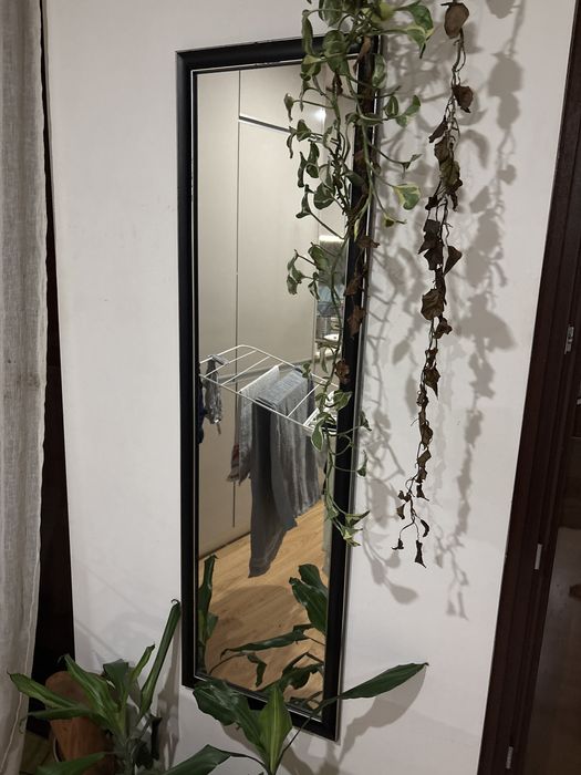 espelho  125x35cm