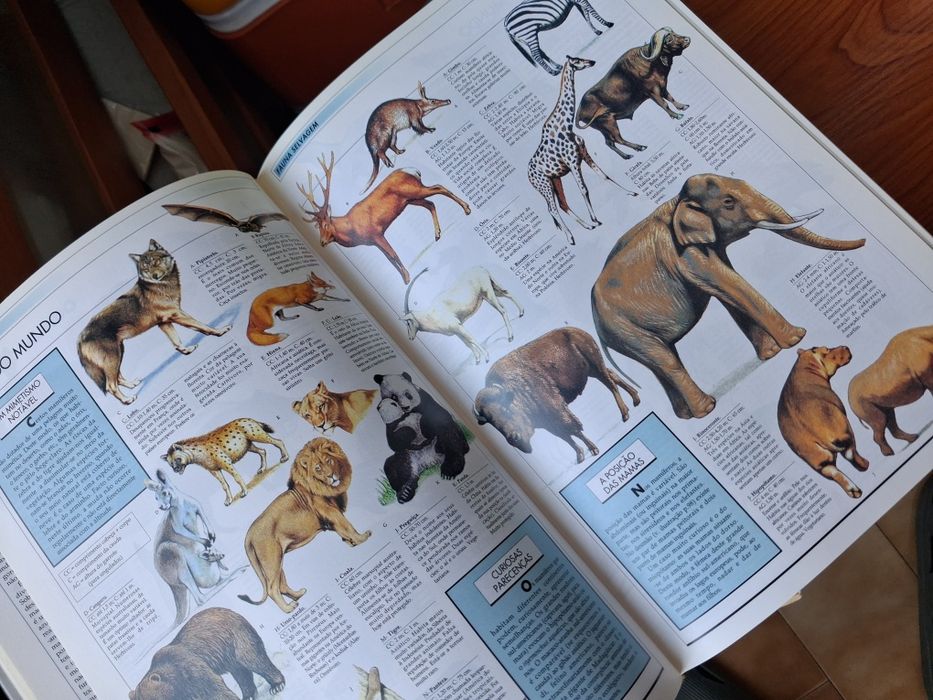 Enciclopédia visual tematica . Larousse
