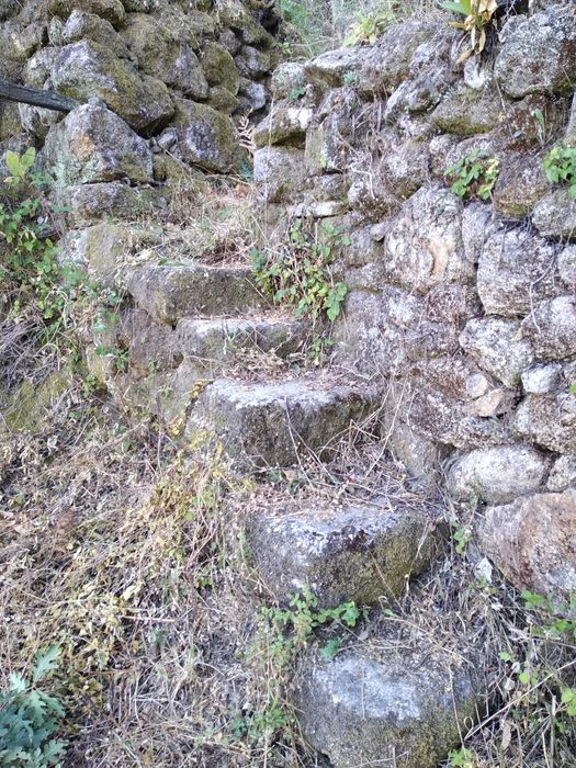 Terreno com 1,2 Hectares e Ruína em Pedra (225m²) – Parada de Cunhos, Vila Real