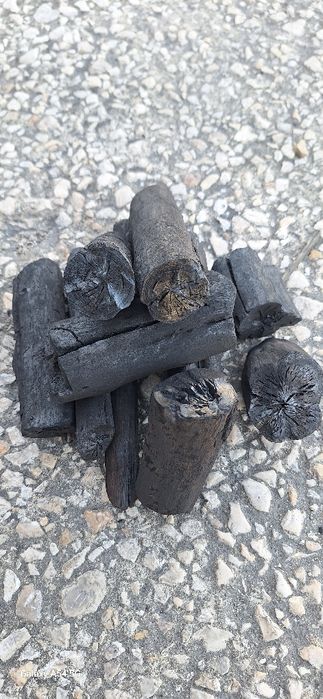 Carvão vegetal marabú