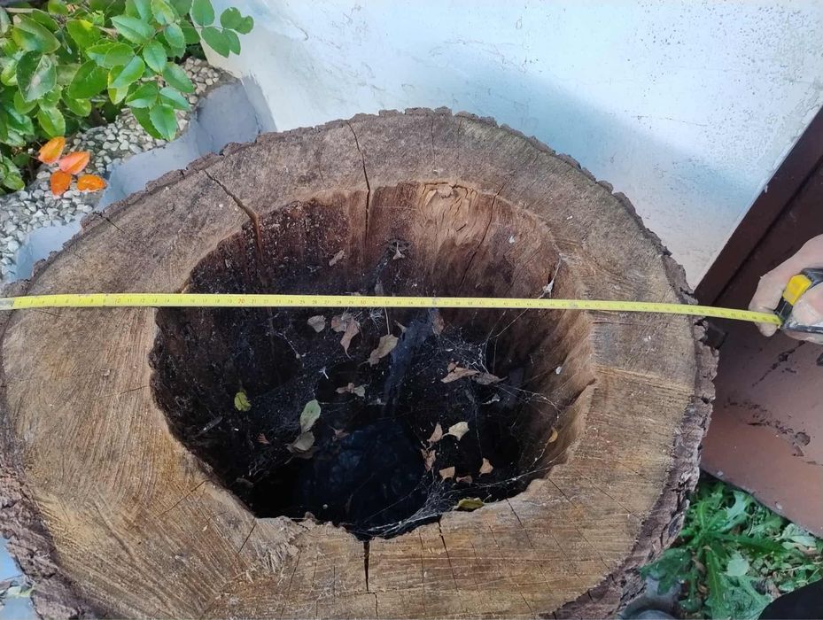 Duży pieniek na beczkę do ogrodu ozdobny