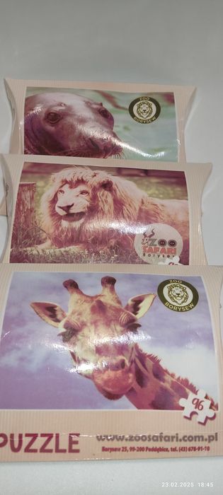 Puzzle 3x 96 elem. Zoo Borysew