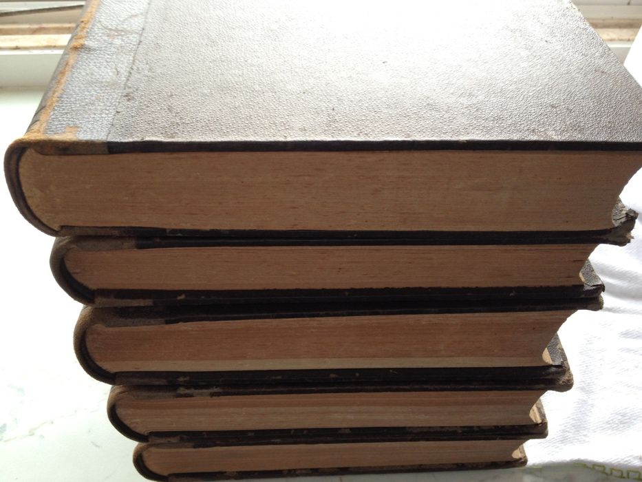 Thesouro da Lingua Portugueza Frei D.Vieira