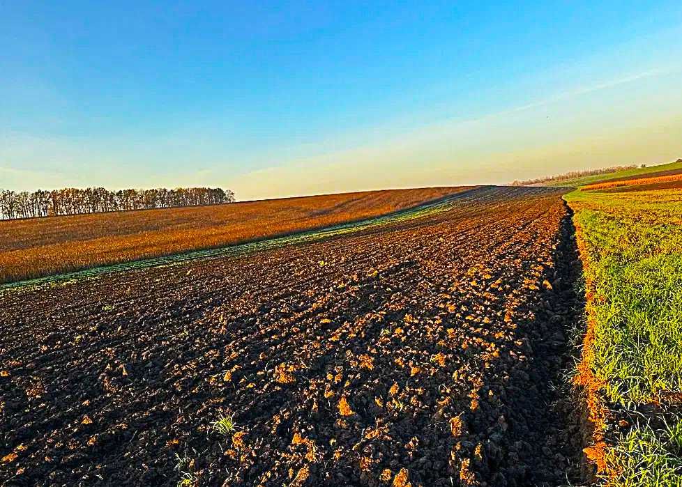 Продам земельну ділянку в  с.Різникове, 19,4 га