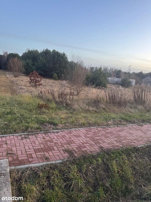 Piękna działka Zbójno gmina Fałków.