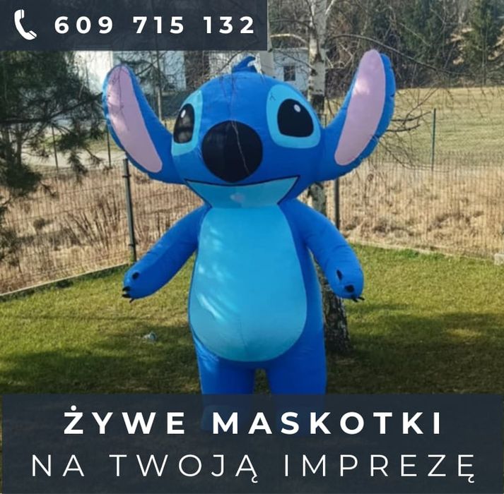 Żywe maskotki na Twoją impreza ,Fotobudka 360, biały miś