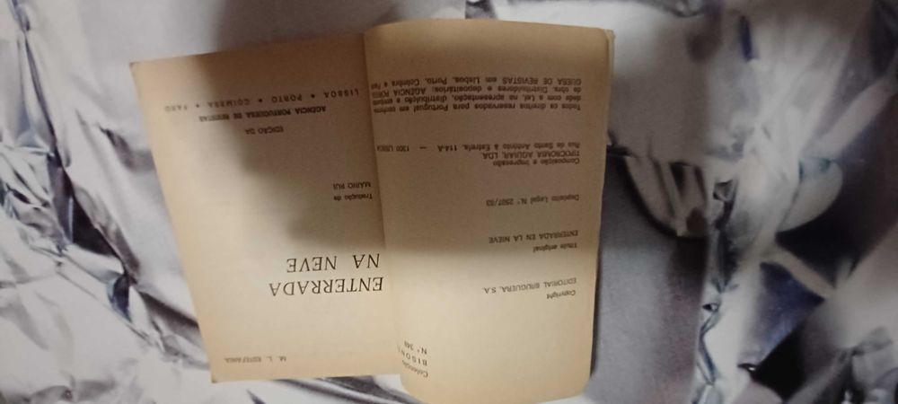 Livro _Enterrada na Neve_ de M.L. Estefanía